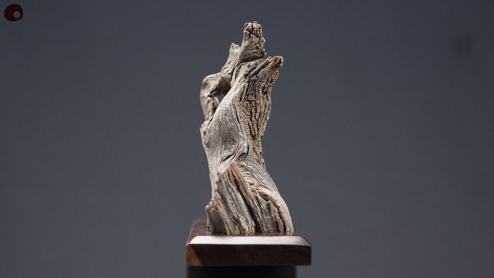 Unique pieces - Gravity - Wood Sculpture - MÙ STUDIO