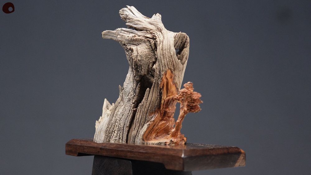 Unique pieces - Gravity - Wood Sculpture - MÙ STUDIO