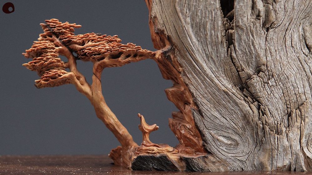 Unique pieces - Gravity - Wood Sculpture - MÙ STUDIO