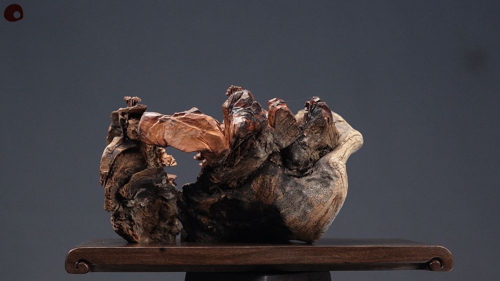 Pièces uniques - Sculpture en bois centenaire - MÙ STUDIO