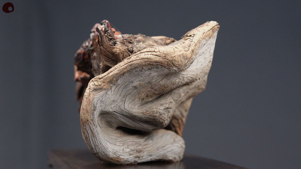 Pièces uniques - Sculpture en bois centenaire - MÙ STUDIO