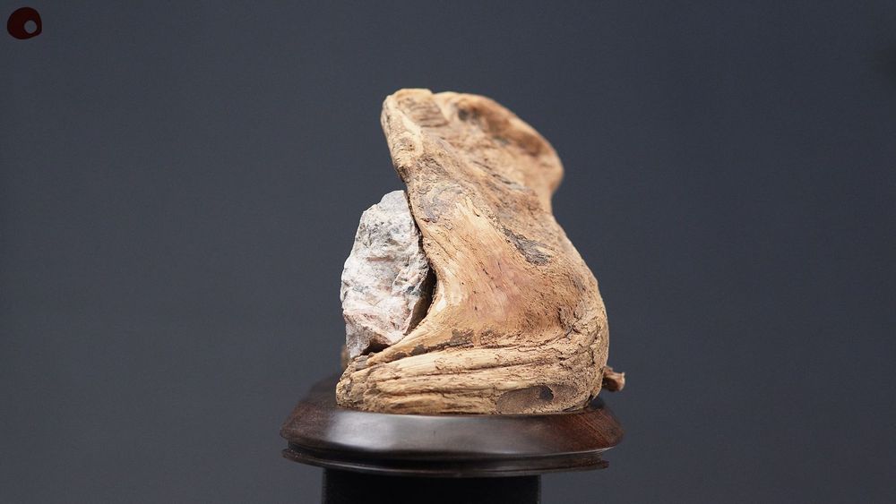 Unique pieces - Wood and stone sculpture - Hidden village - MÙ STUDIO
