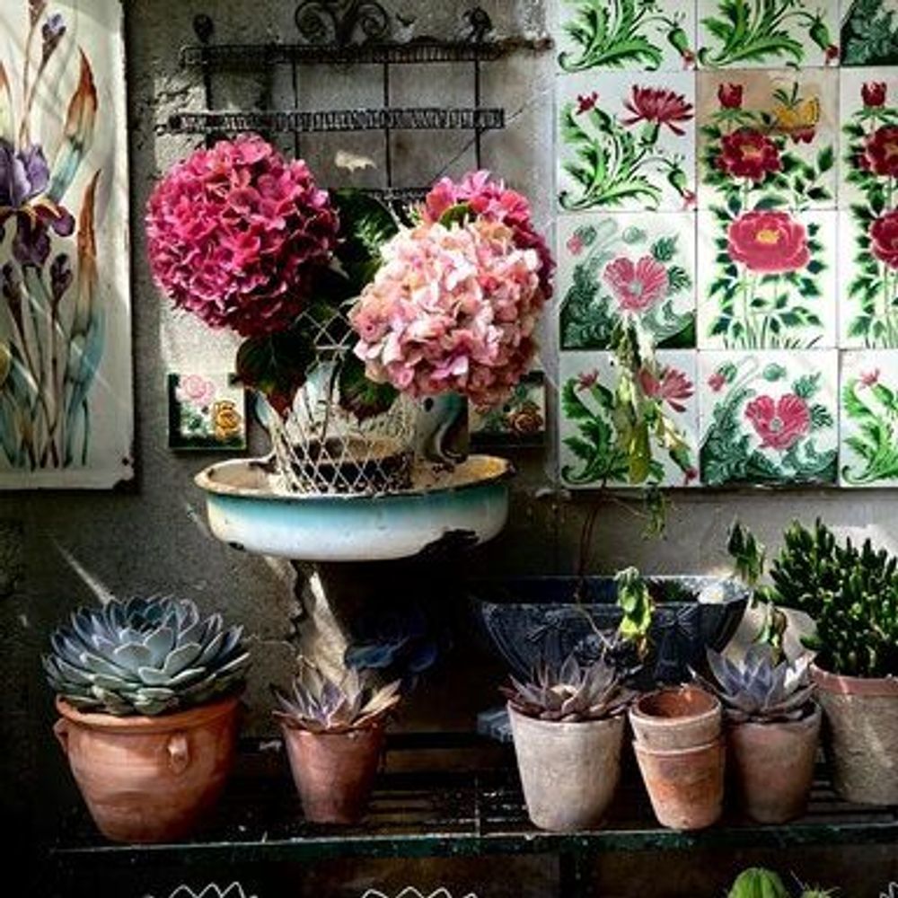 Photos d'art - Photo d'art - Les Bouquets n°7 - JOLI JOUR PARIS