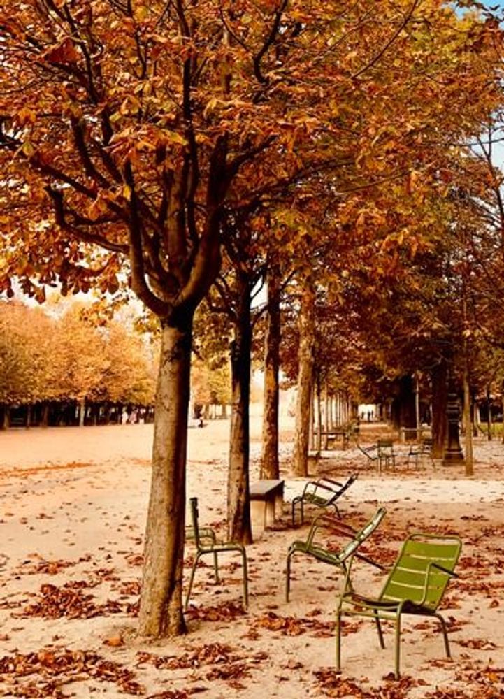 Art photos - Fine art photography - Paris - "Jardin des Tuileries" n° 6 - JOLI JOUR PARIS