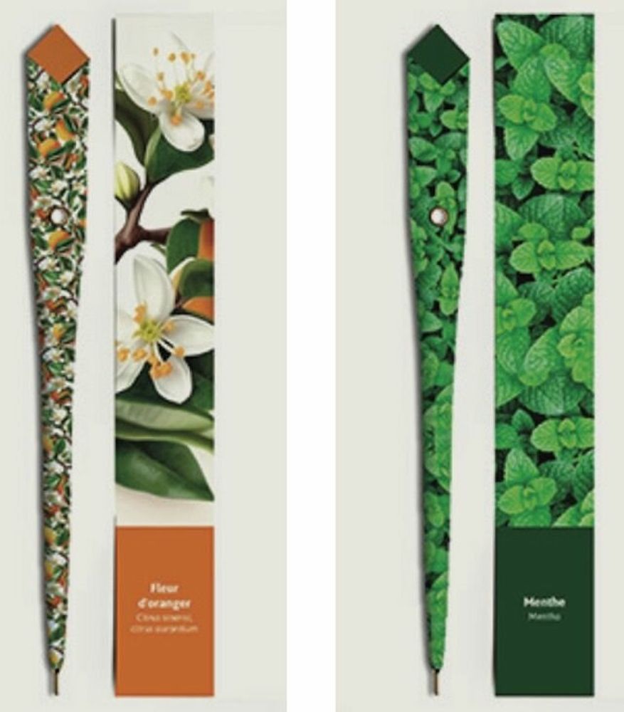 Pens and pencils - 48 Paper pens - SCENTED FLOWER - PLUME DE PAPIER