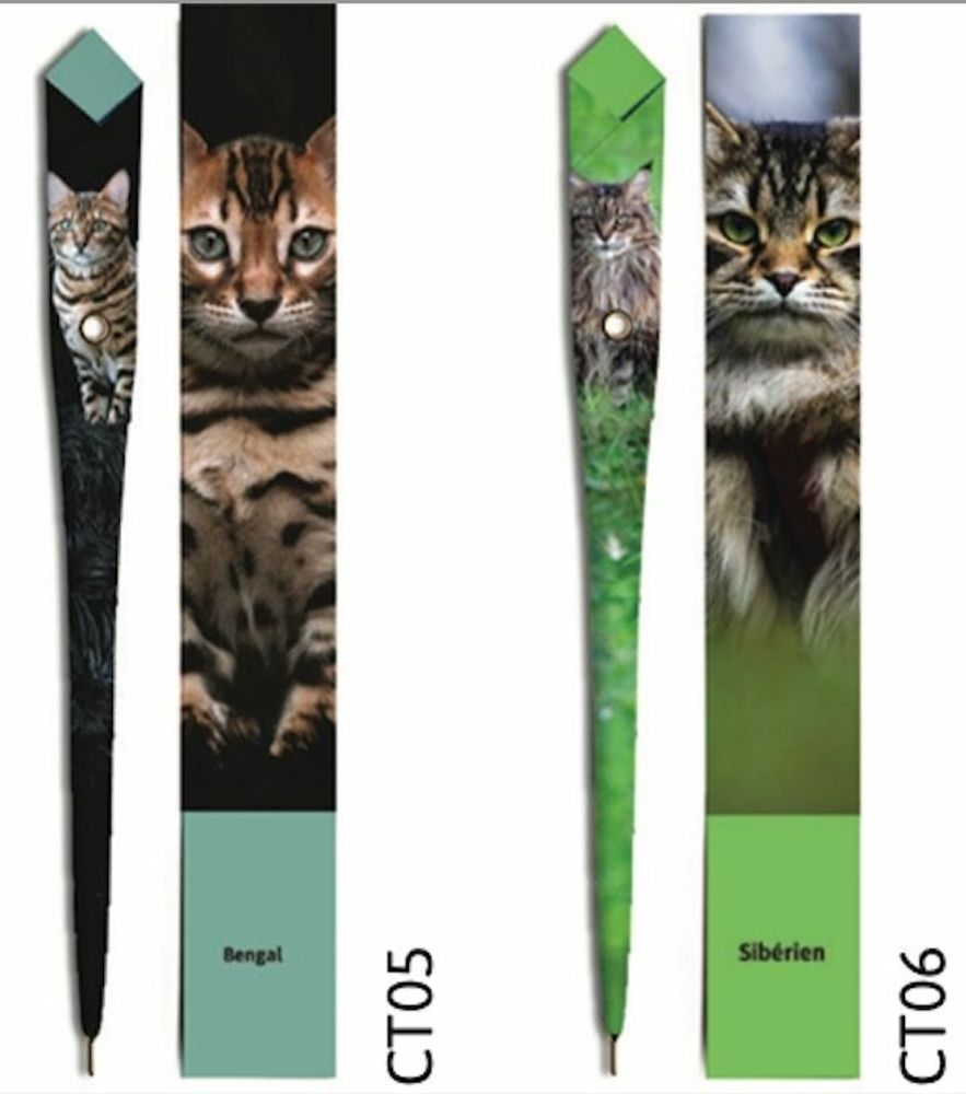 Pens and pencils - 48 Paper pens - CAT COLLECTION - PLUME DE PAPIER