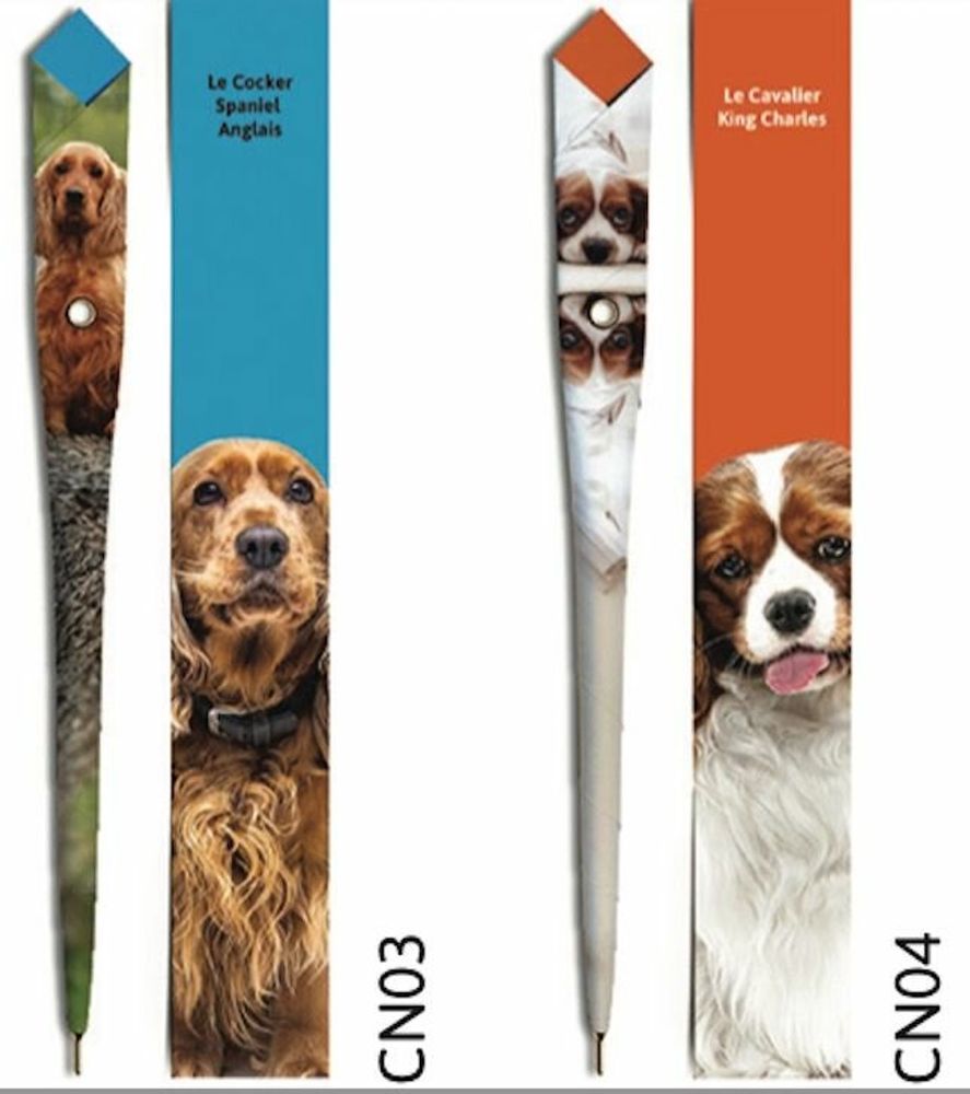 Pens and pencils - 48 Paper pens - DOG COLLECTION - PLUME DE PAPIER