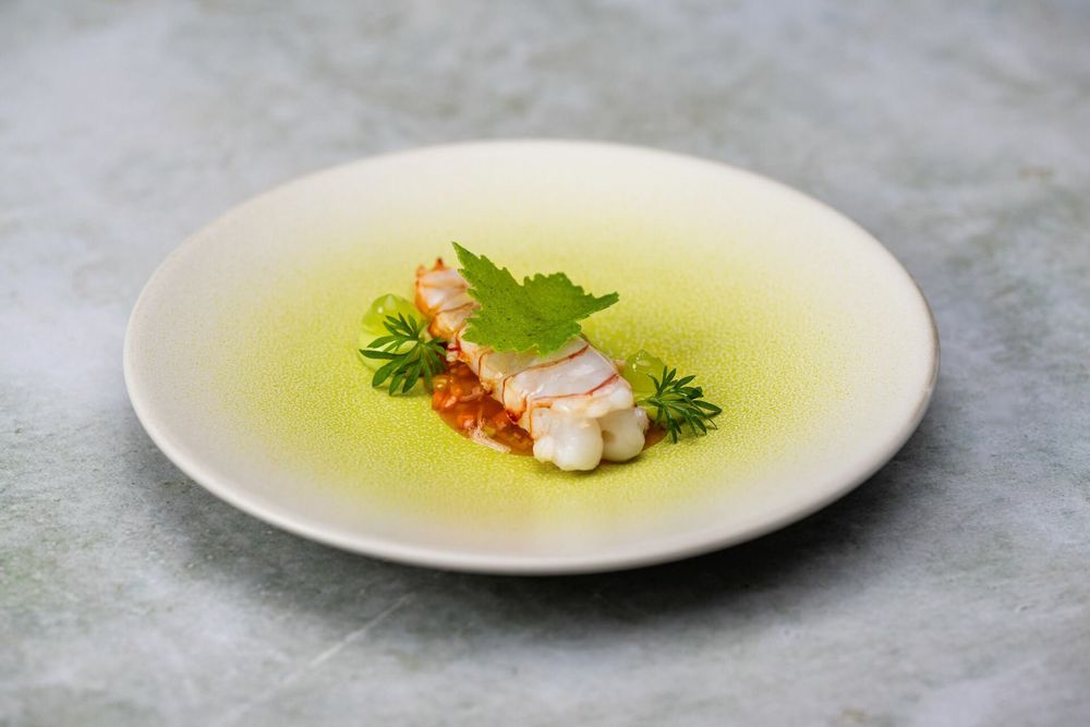 Formal plates - KOI dinnerware collection - ASA SELECTION