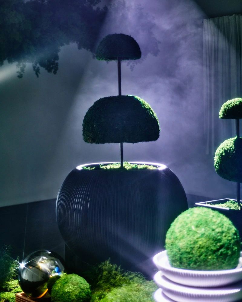 Garden accessories - Oversized Flat Blob Fiberglass Planter 'Black' by Tuleste Factory - TULESTE FACTORY