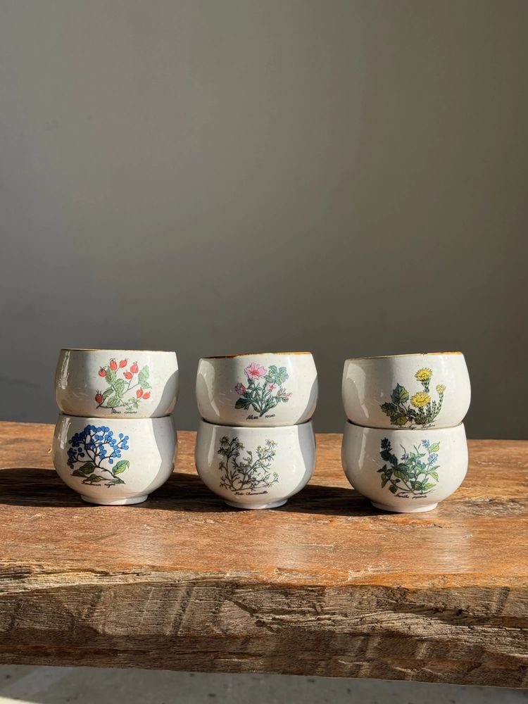 Mugs - 6 stoneware cups with botanical illustration of medicinal plants - OFFICE OBJETS