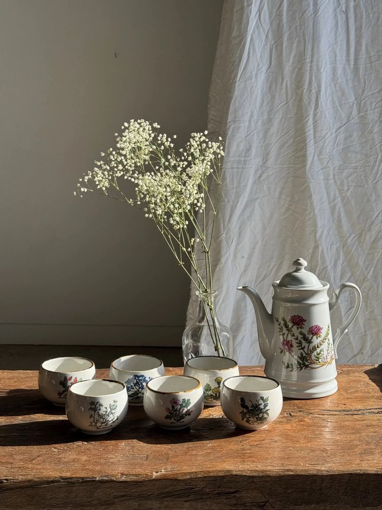 Mugs - 6 stoneware cups with botanical illustration of medicinal plants - OFFICE OBJETS