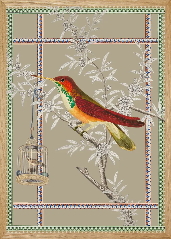 Affiches - illustration oiseau de paradis - PARADISIO IMAGINARIUM