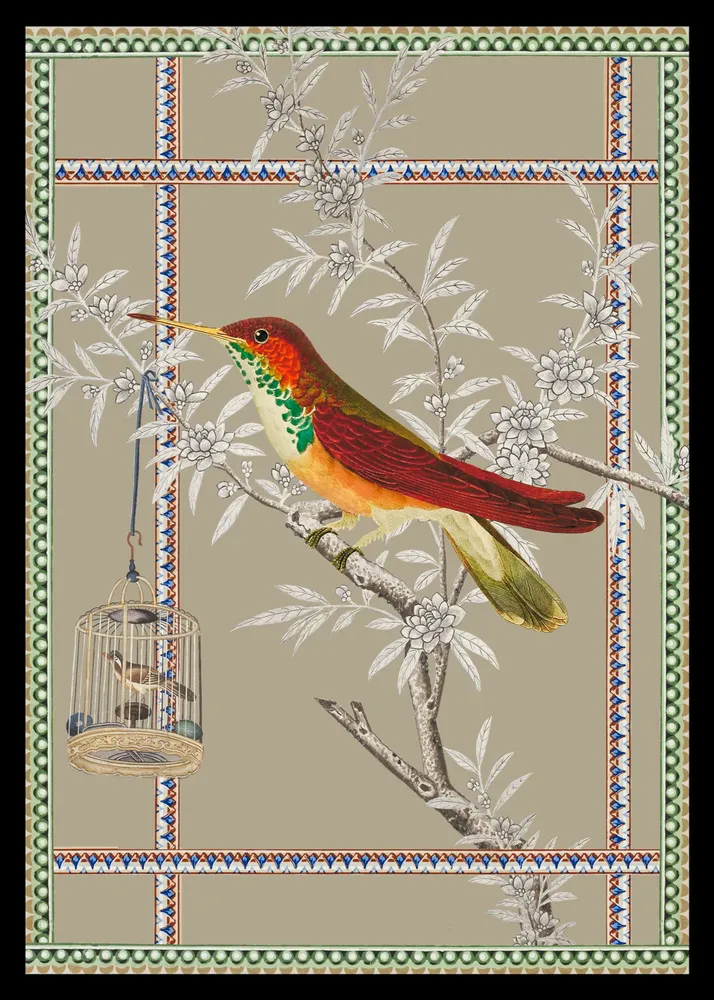 Affiches - illustration oiseau de paradis - PARADISIO IMAGINARIUM