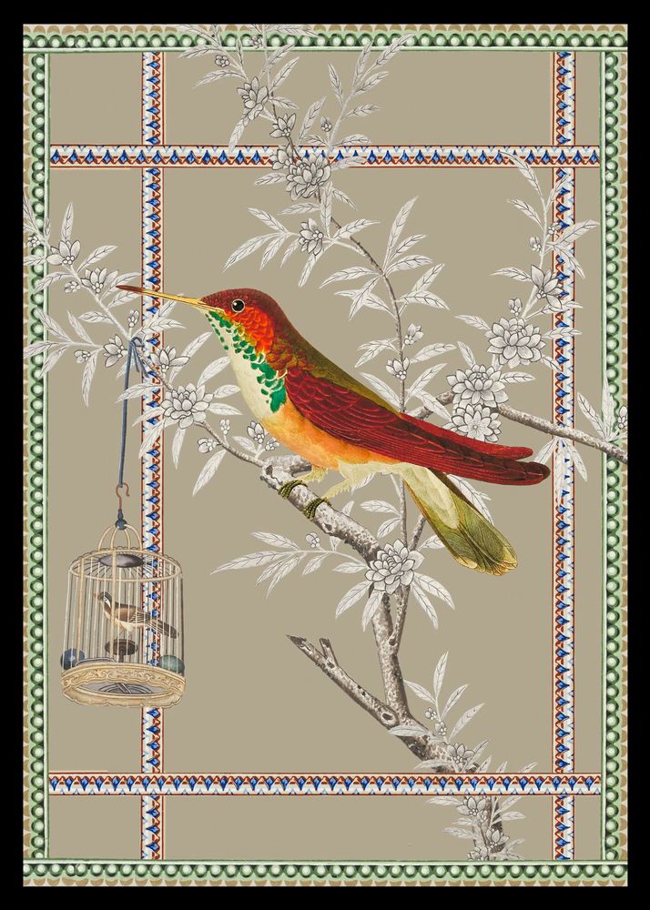 Poster - bird of paradise illustration - PARADISIO IMAGINARIUM
