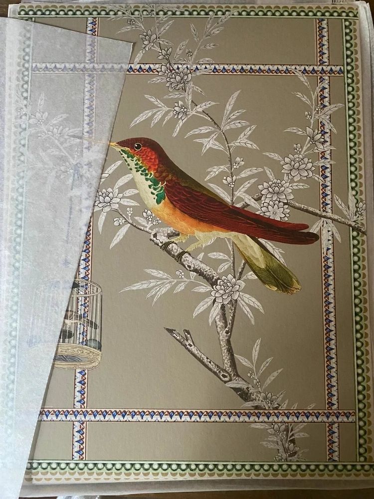 Poster - bird of paradise illustration - PARADISIO IMAGINARIUM