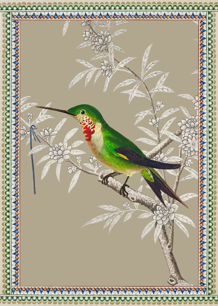 Affiches - Illustration Colibri Améthyste - PARADISIO IMAGINARIUM