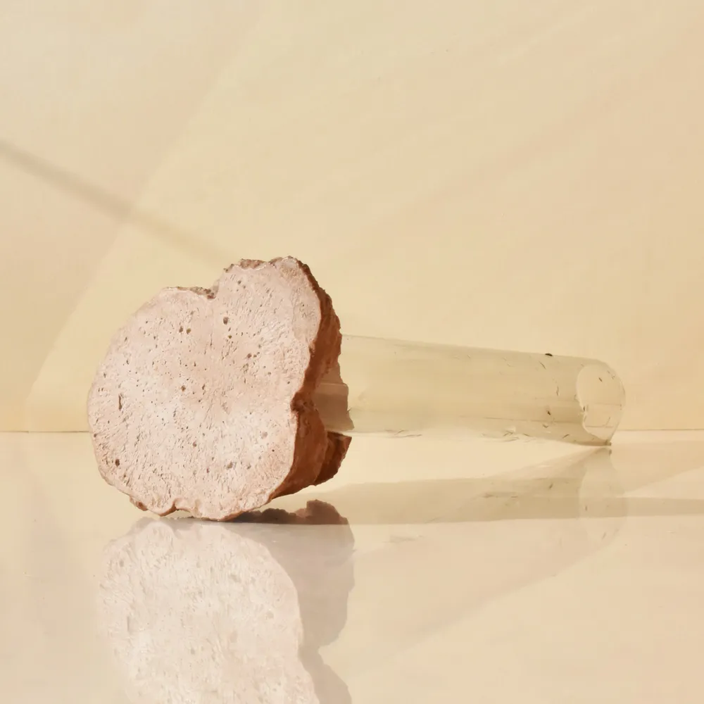 Vases - CATHARSIS, Sculptural Statement Small Vase, Dusty Coral - COKI