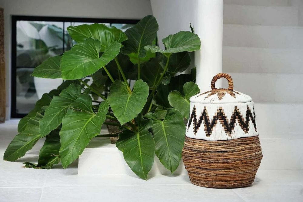 Laundry baskets - The Little Bay Beach Basket - Natural White - M - BAZAR BIZAR LIVING