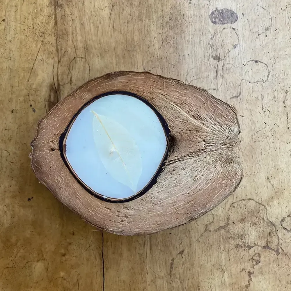 Bougies - Bougie noix de coco - BAAN