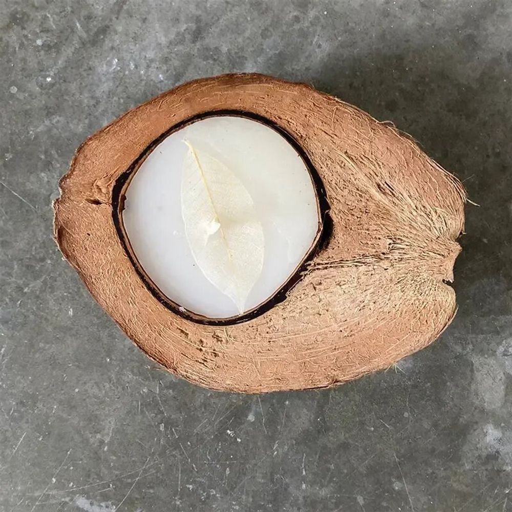 Bougies - Bougie noix de coco - BAAN