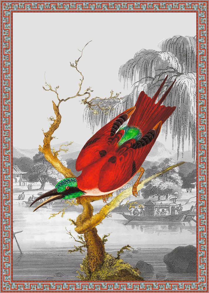 Affiches - Illustration Cardinal - PARADISIO IMAGINARIUM