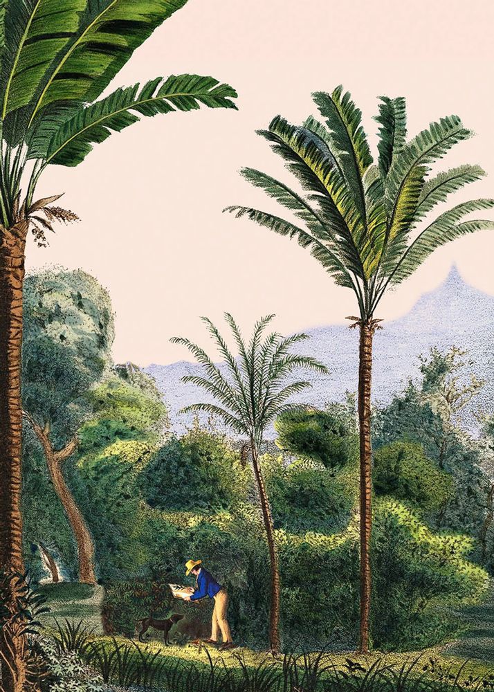 Affiches - Illustration Manicaria - PARADISIO IMAGINARIUM