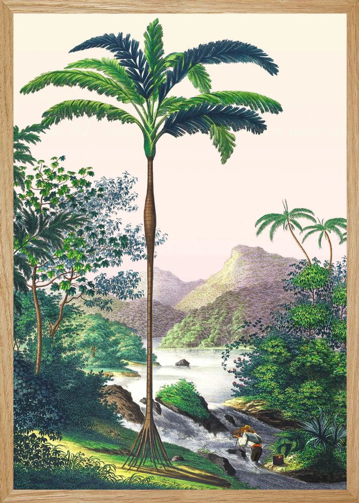 Affiches - Illustration Sur les rives de Japura - PARADISIO IMAGINARIUM
