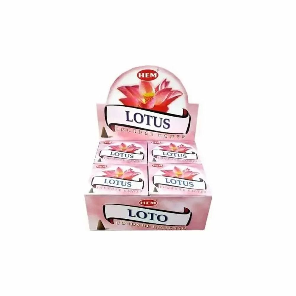 Senteurs - Encens Hem Lotus cones - ARABESK
