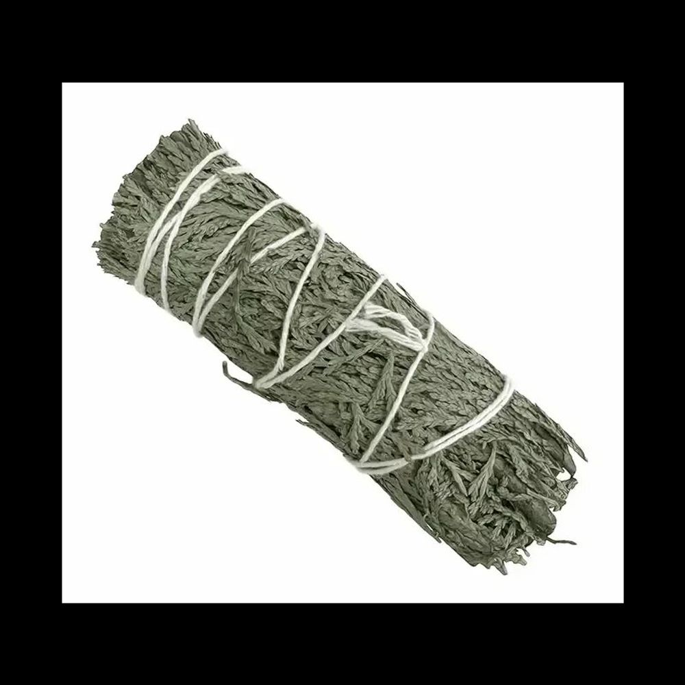 Senteurs - Cedre blanc thuya naturel fagot 25-30g 10cm - ARABESK