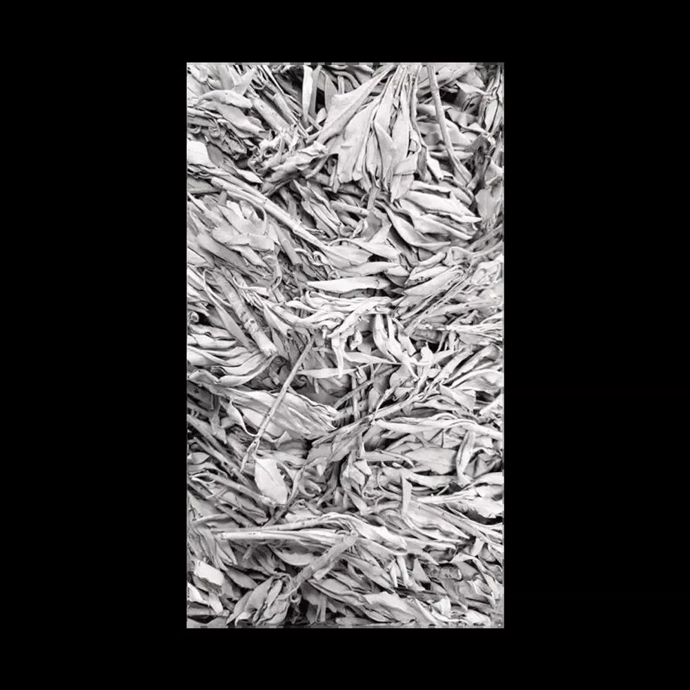 Scents - White Sage California Superior Quality 1KG - ARABESK