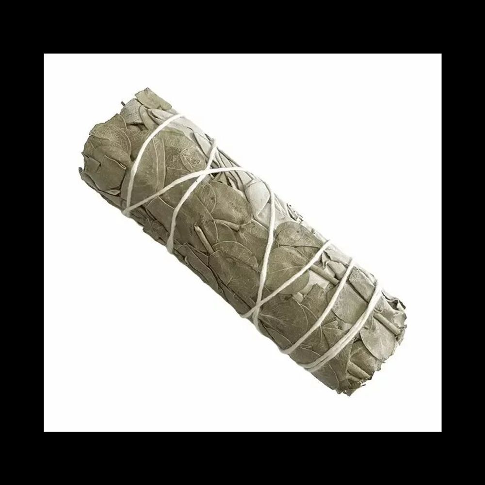 Senteurs - Sauge blanche & Eucalyptus fagot 25-30g 10cm - ARABESK