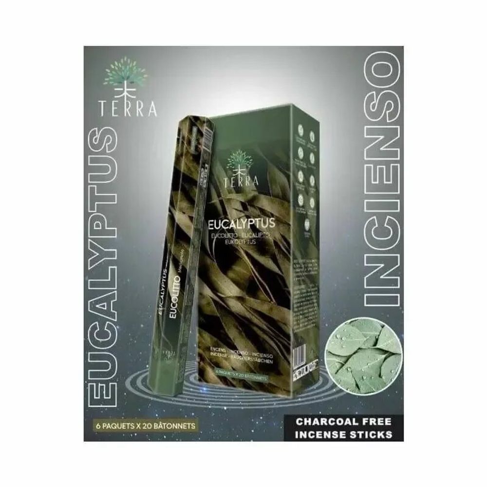 Scents - Terra incense eucalyptus hexa without charcoal - ARABESK