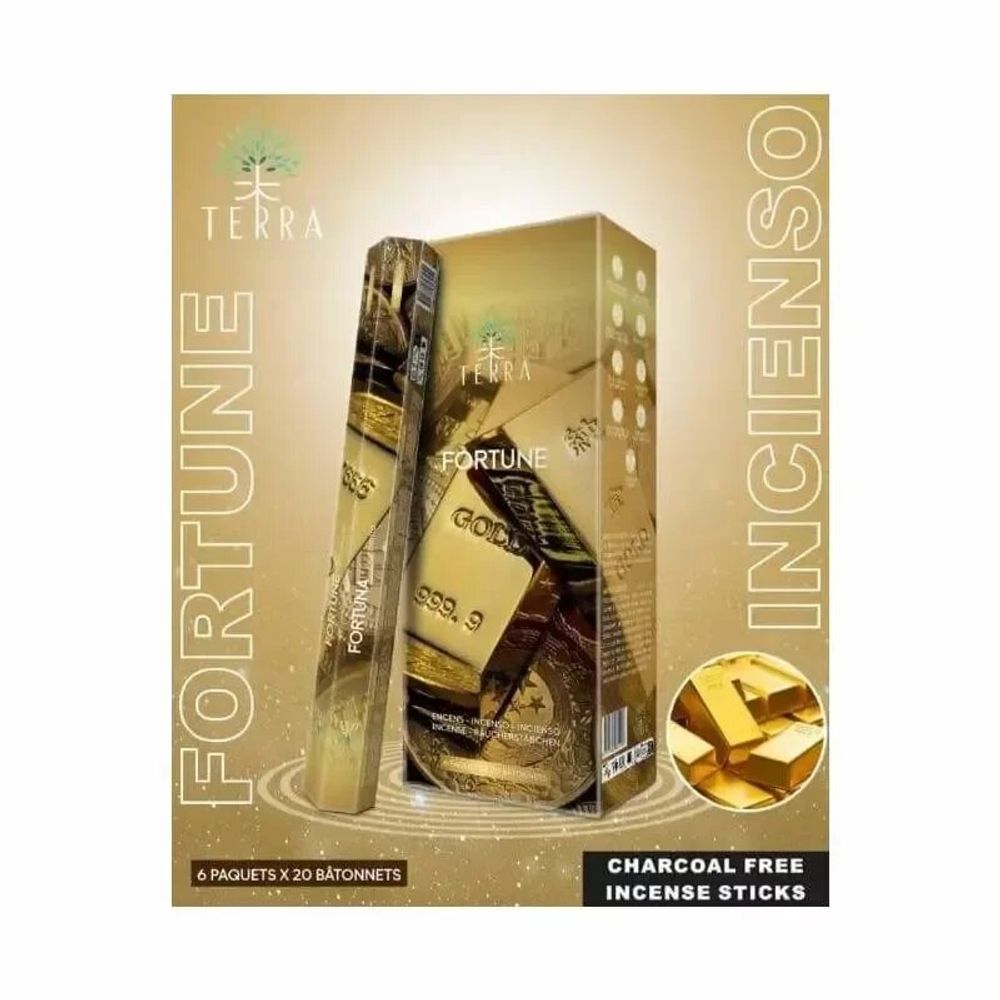 Scents - Terra incense fortune hexa without charcoal 30grs - ARABESK
