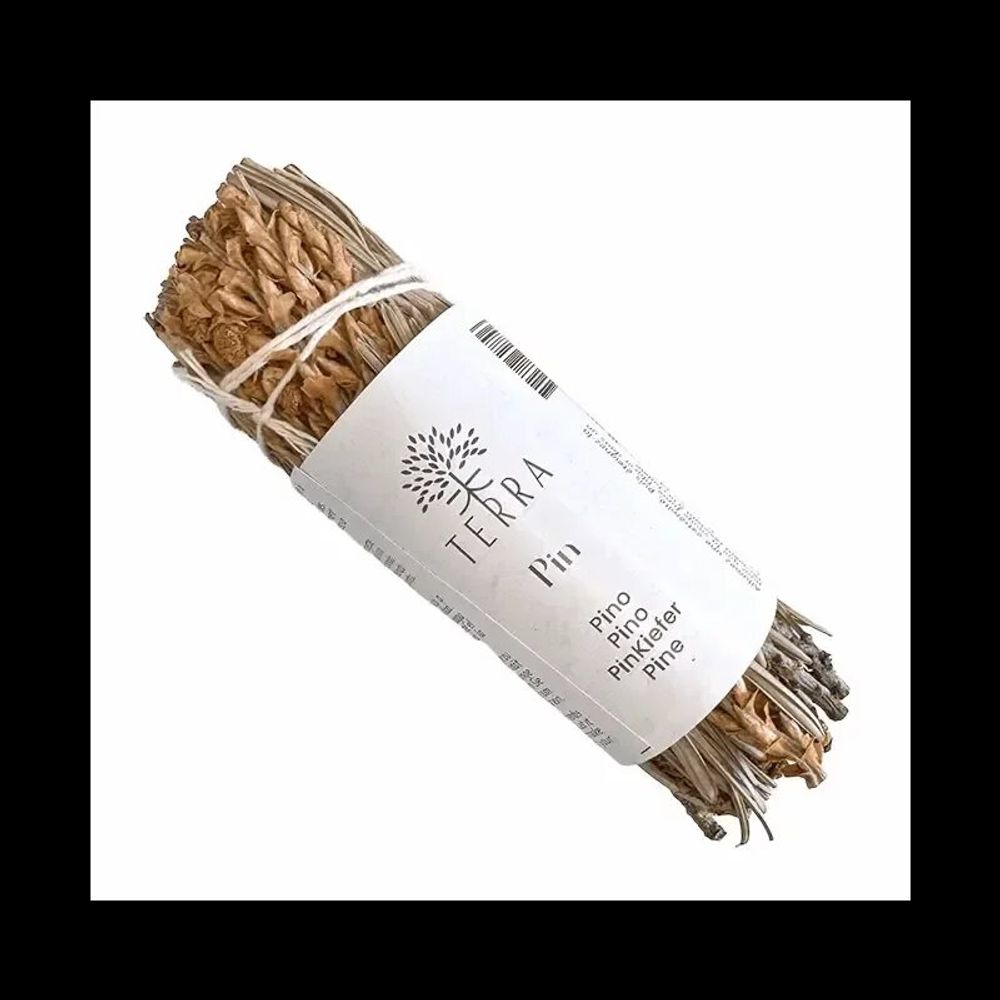 Scents - Pine bundle 25-30gr 10cm - ARABESK