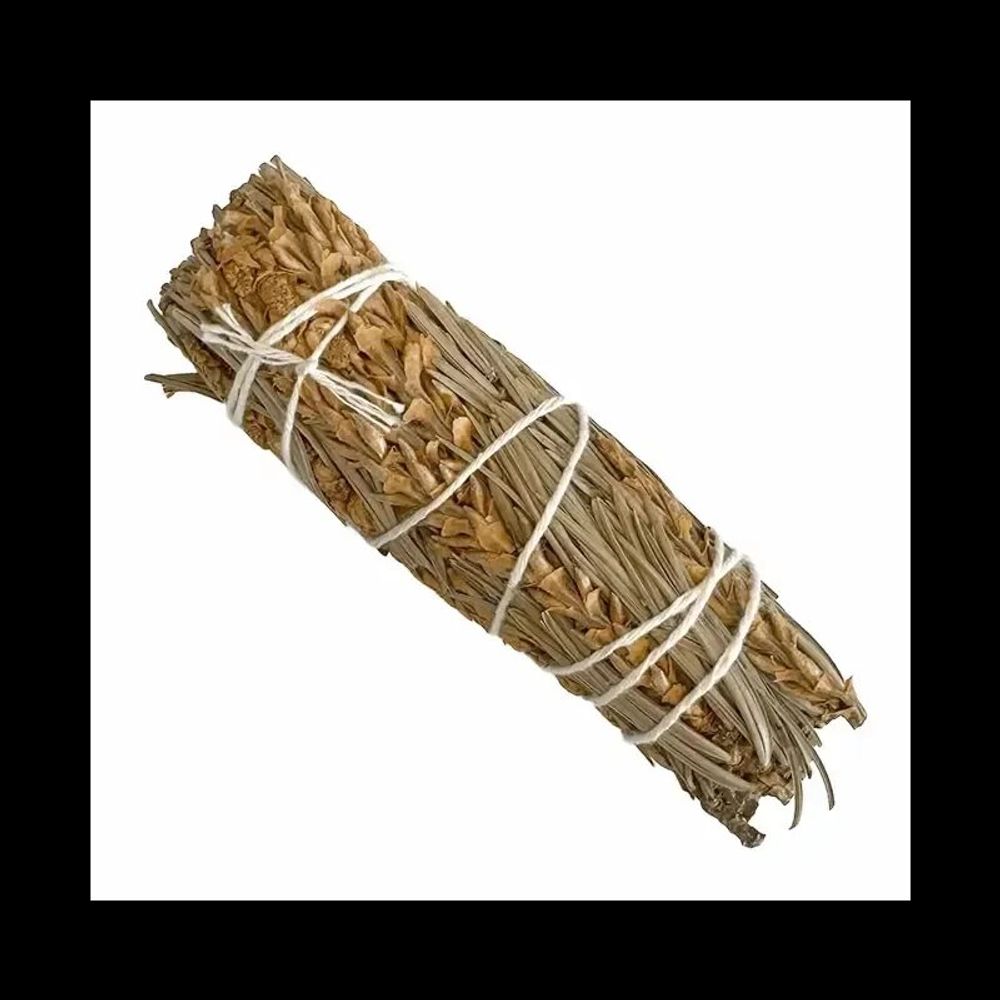 Scents - Pine bundle 25-30gr 10cm - ARABESK