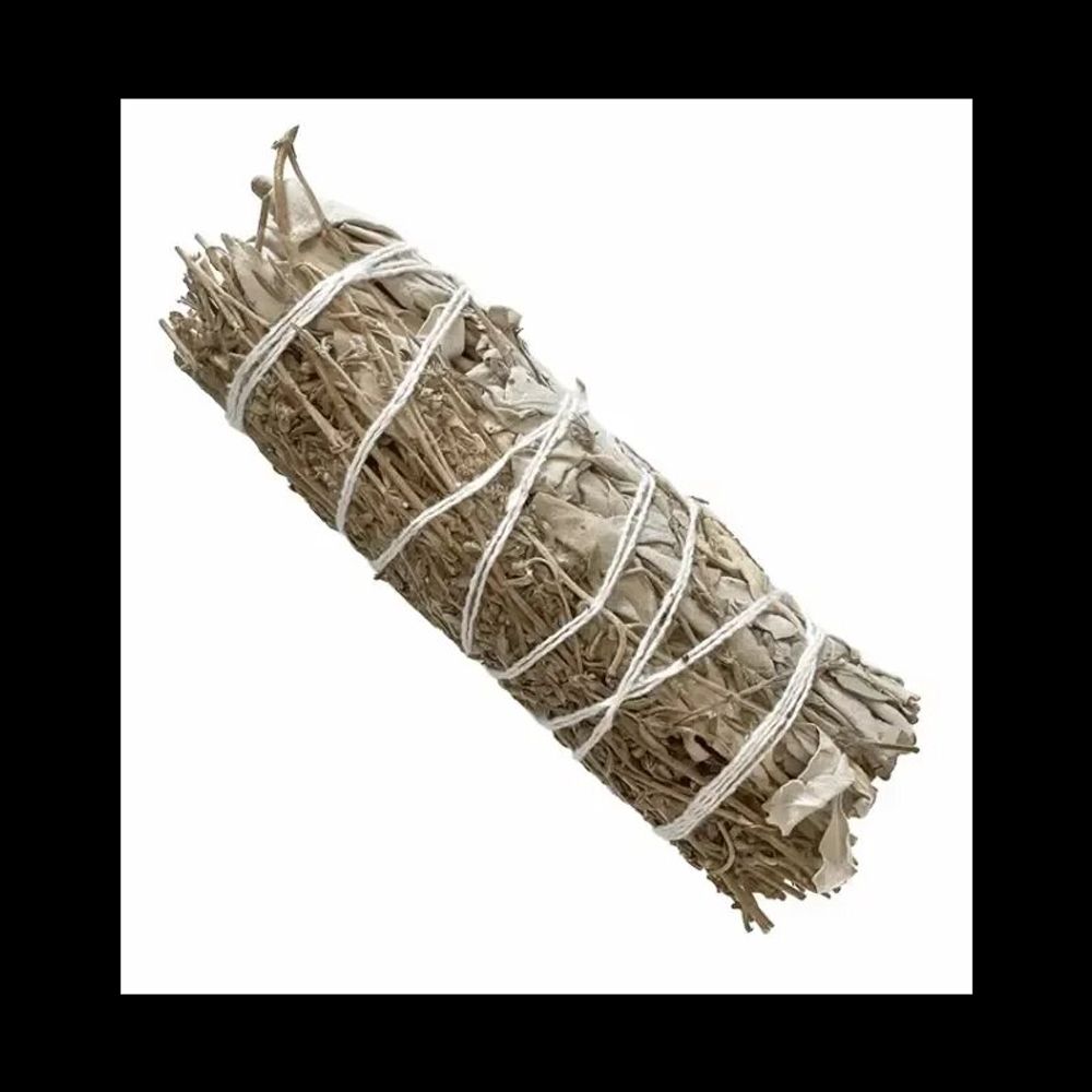 Scents - White Sage and Thyme Bundle 25-30gr 10cm - ARABESK