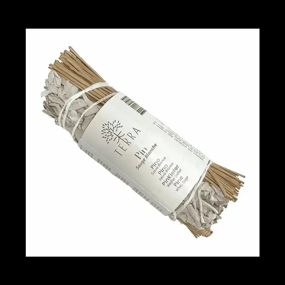 Senteurs - Sauge Blanche & Pin fagot 25-30g 10cm - ARABESK