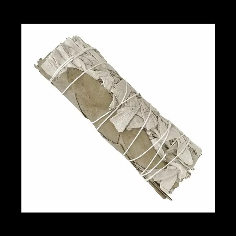 Scents - White Sage & Eucalyptus Dollar Bundle 25-30g 10cm - ARABESK
