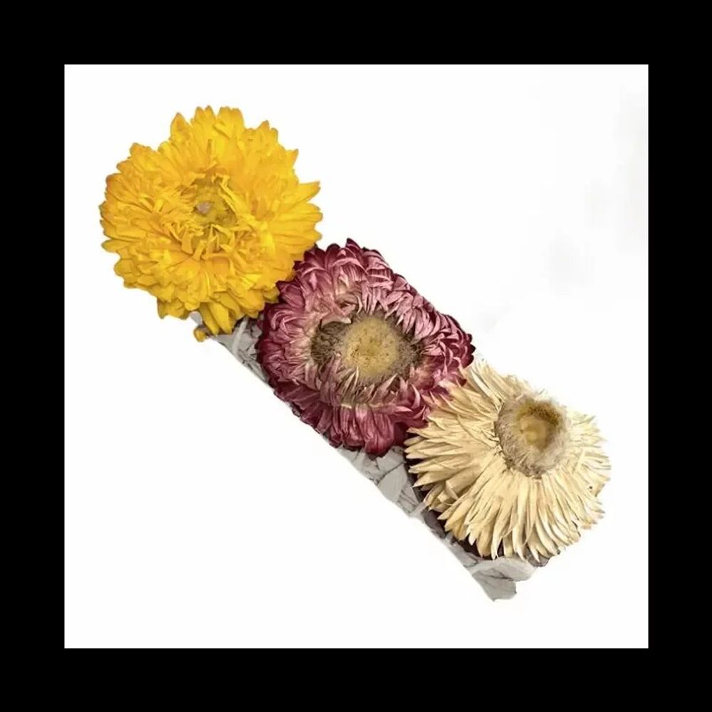 Senteurs - Sauge Blanche & Fleur de Paille Fagot 25-30gr 10cm - ARABESK