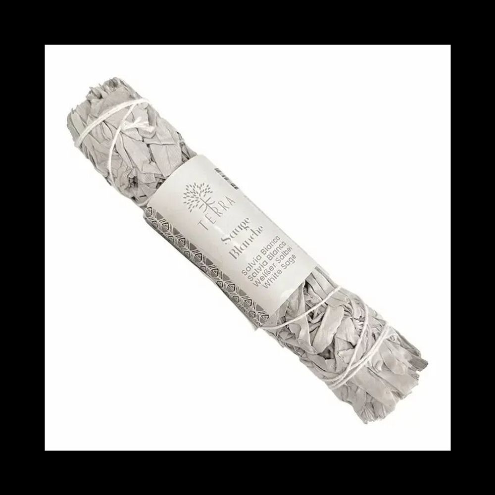 Senteurs - Sauge Blanche Californie fagot 90-100g 22cm - ARABESK