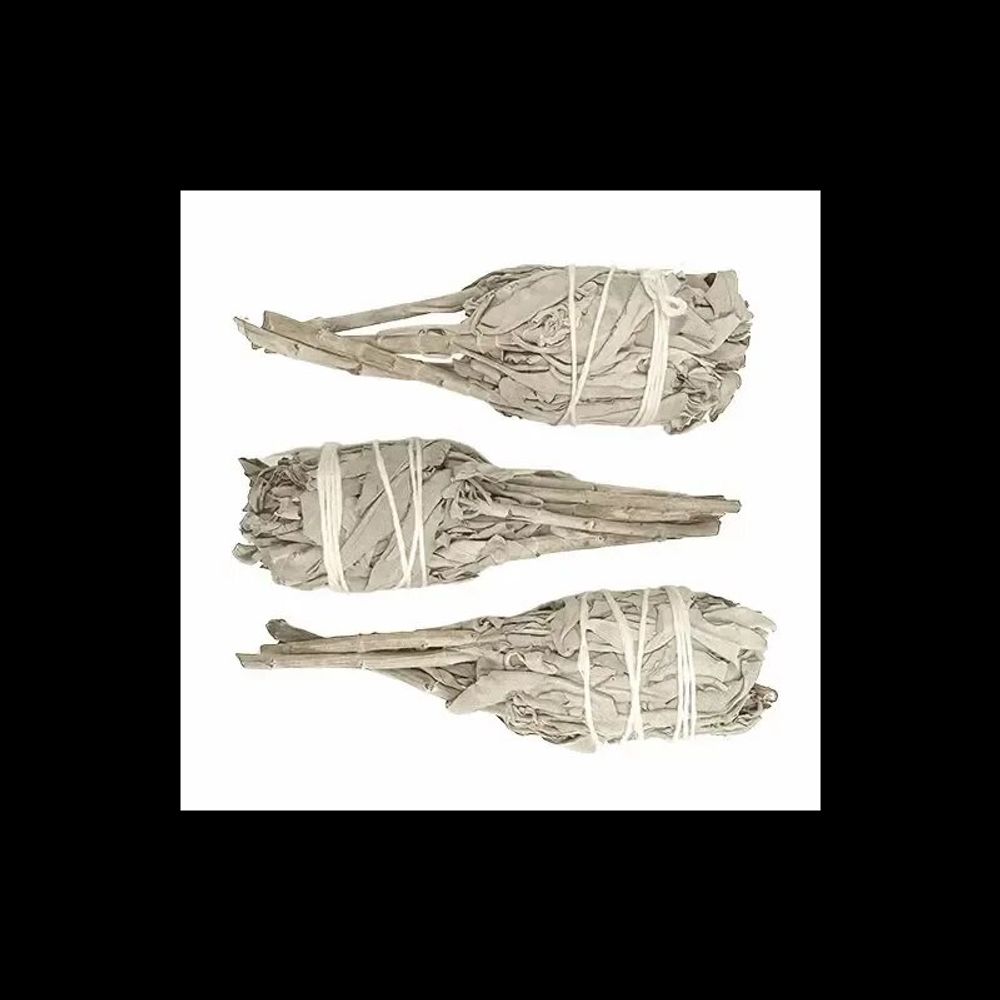 Senteurs - Sauge Blanche Californie Torche sous Blister x3 25-30g 11cm - ARABESK