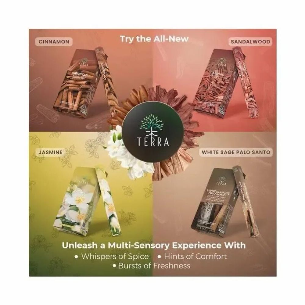 Scents - Terra Ambre hexa incense without charcoal 30grs - ARABESK