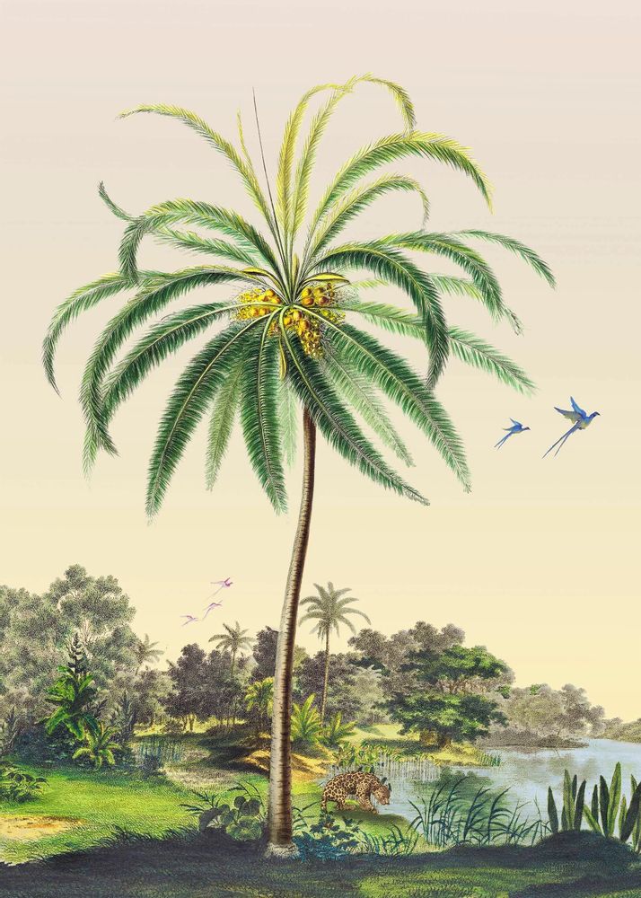 Poster - Coconut Tree Illustration - PARADISIO IMAGINARIUM