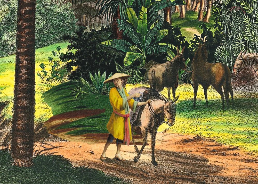 Poster - Illustration On the banks of the Mekong - PARADISIO IMAGINARIUM