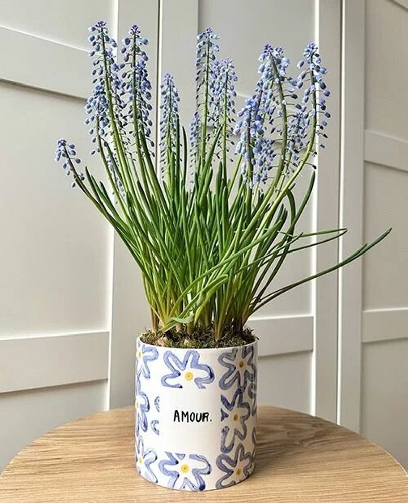 Vases - Pot amour - AND NOOK