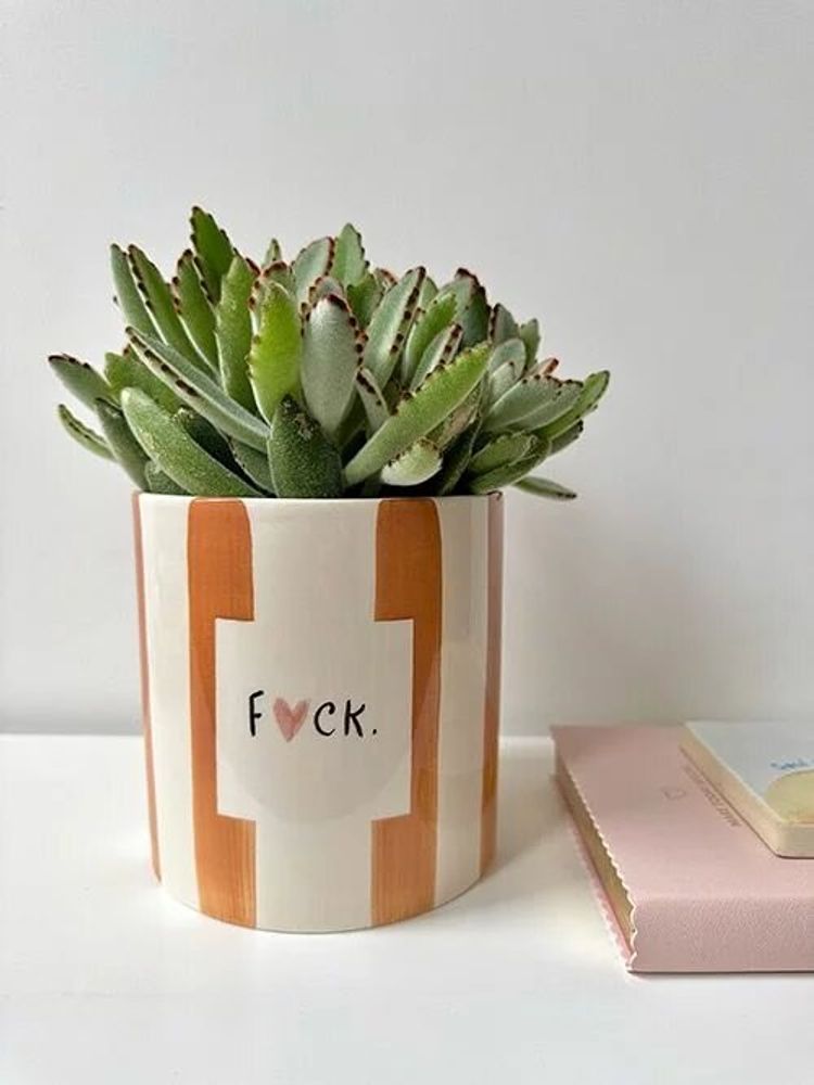 Vases - Pot f*ck - AND NOOK
