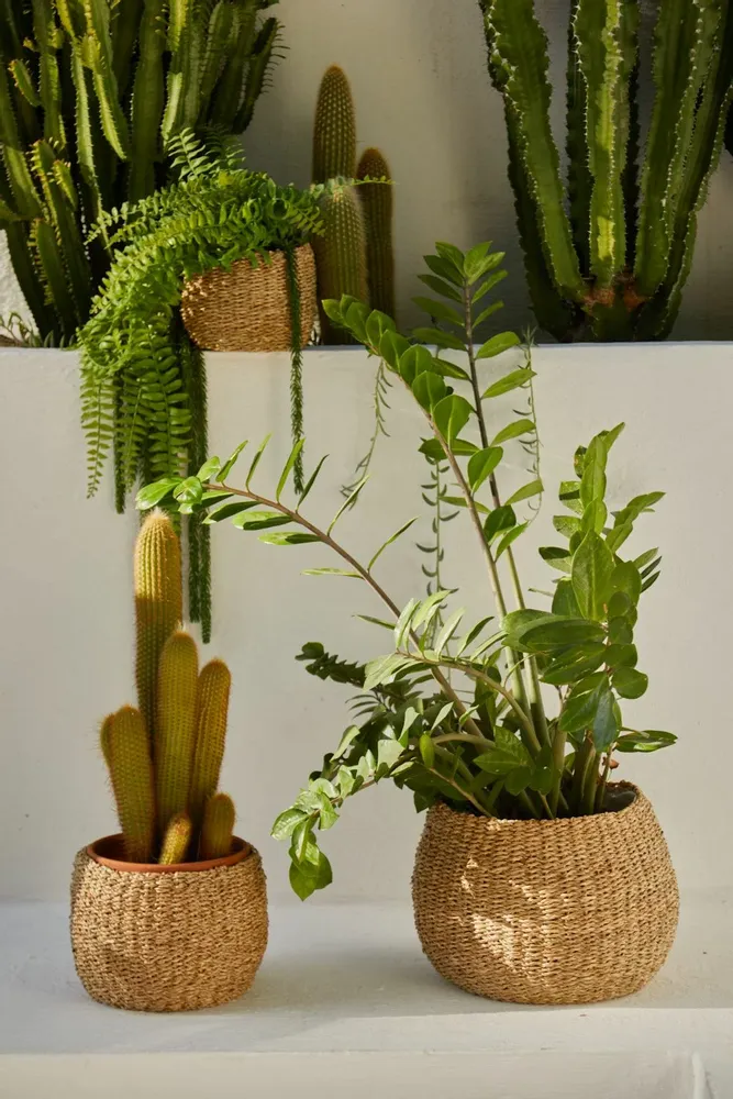 Objets de décoration - OBJETS EN HERBE DE MER - CALMA HOUSE