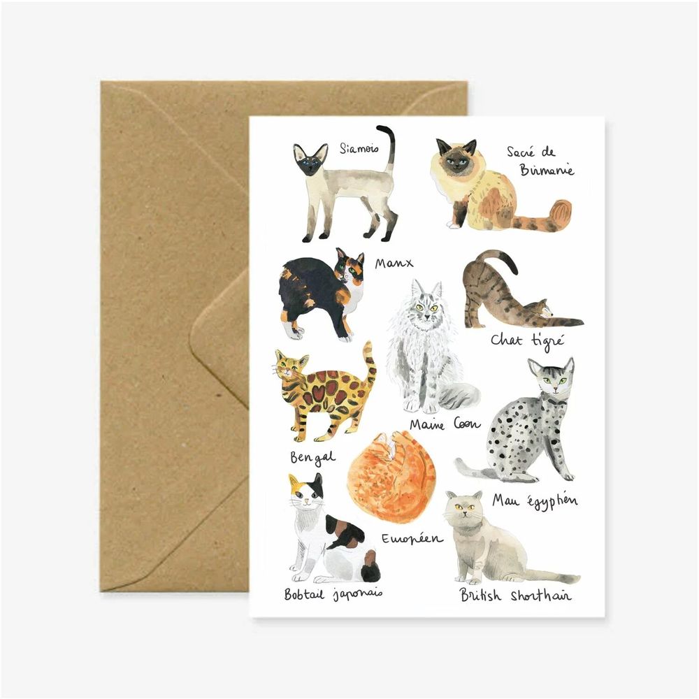 Carterie - Carte "Chats" - MARINA VANDEL