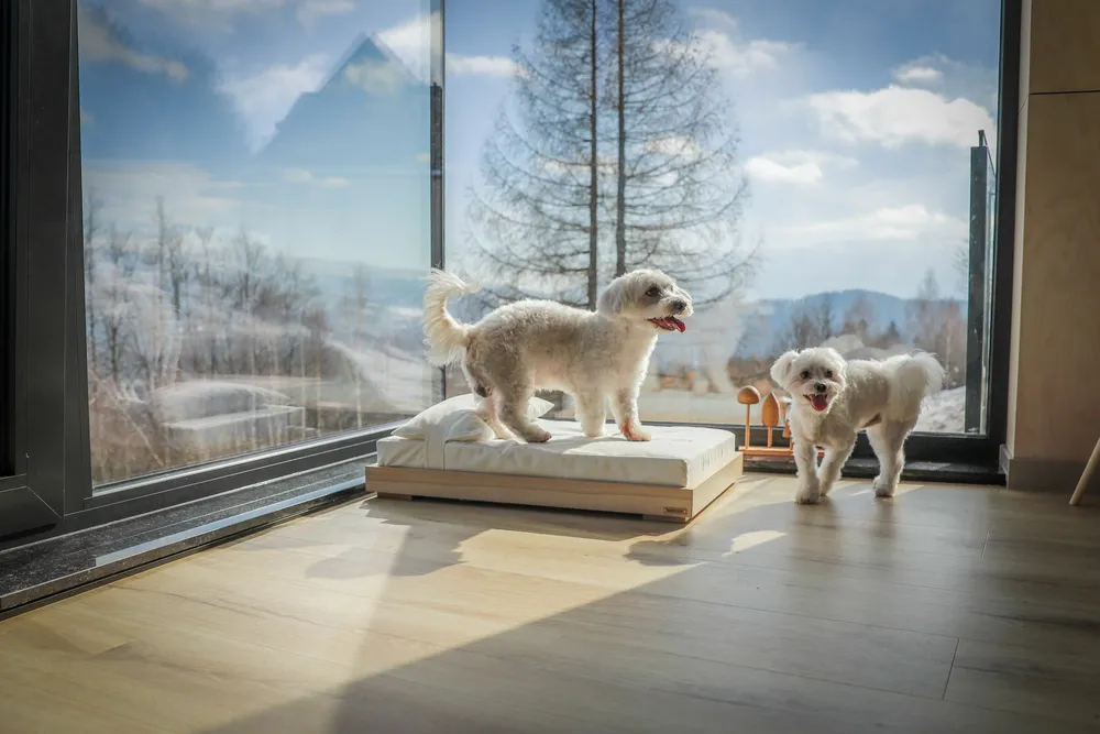 Beds - pet bed No.03 - WOODEN STORY
