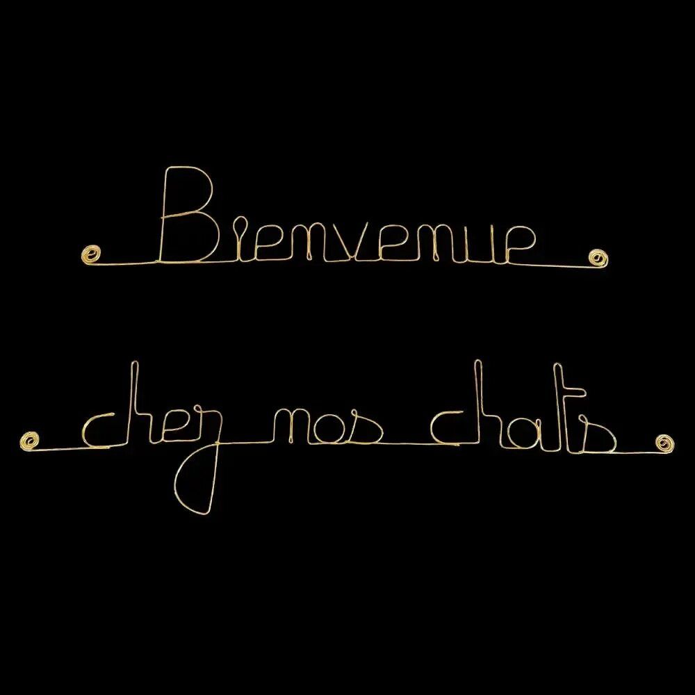 Autres décorations murales - Décoration Murale en laiton doré " Bienvenue chez nos chats" - BIJOUX DE MUR